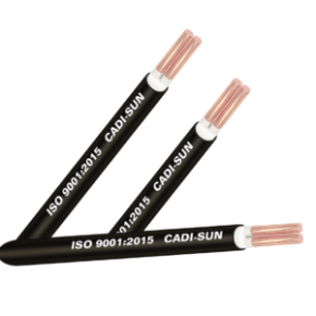 CÁP ĐỒNG 2 RUỘT BỌC CÁCH ĐIỆN XLPE, VỎ